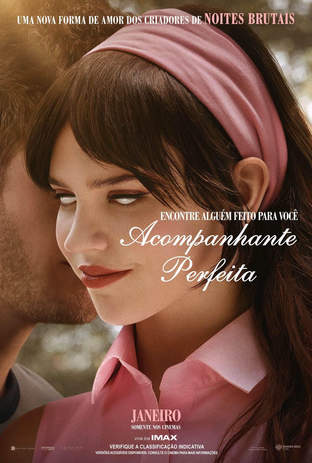 Capa filme acompanhante perfeita