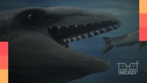 Crânio de Janjucetus dullardi, mamífero pré-histórico com olhos grandes de estilo Pokémon e dentes poderosos