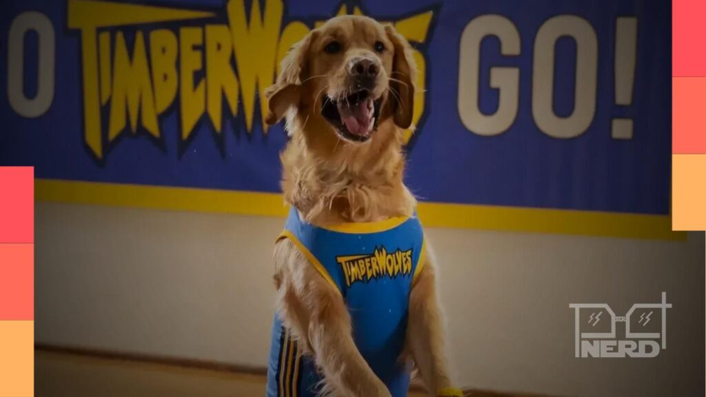 Cachorro golden retriever e menino em quadra de basquete em cena do filme Air Bud Returns