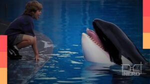 Ilustração de uma orca com pessoas ao fundo e referência ao remake de Free Willy pela Warner Bros