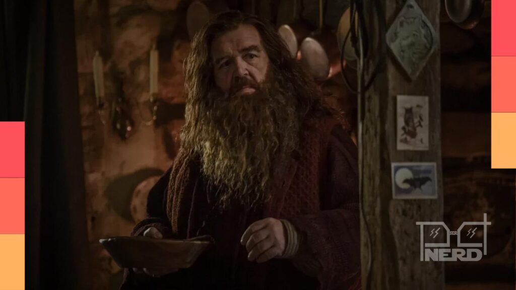 Nick Frost como Hagrid, John Lithgow como Dumbledore, Paapa Essiedu como Snape e membros da família Weasley em novas fotos da série Harry Potter da HBO Max