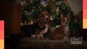 Imagem promocional de O Natal Perfeito de um Cachorro, filme natalino da Netflix estrelado por Dennis Quaid.